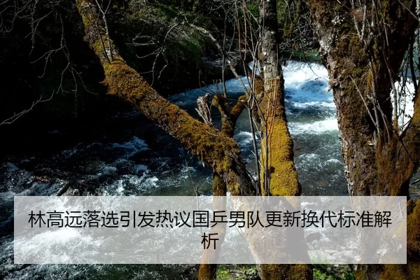林高远落选引发热议国乒男队更新换代标准解析