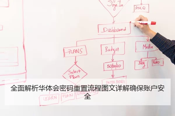 全面解析华体会密码重置流程图文详解确保账户安全