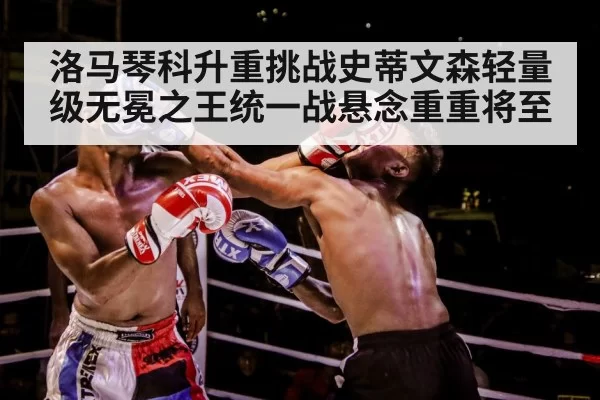 boxer training gloves