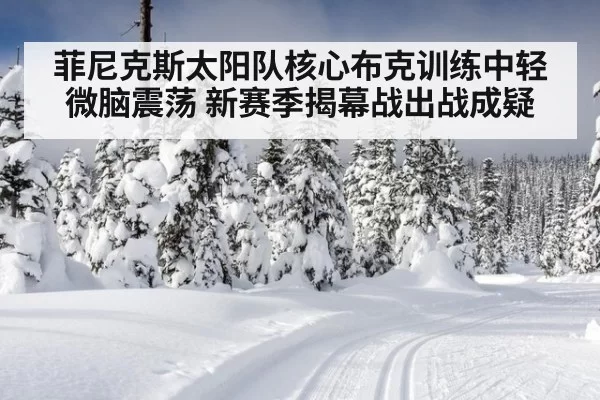菲尼克斯太阳队核心布克训练中轻微脑震荡 新赛季揭幕战出战成疑
