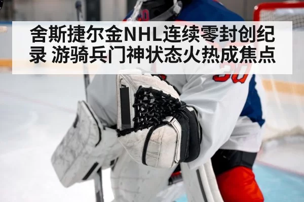 舍斯捷尔金NHL连续零封创纪录 游骑兵门神状态火热成焦点